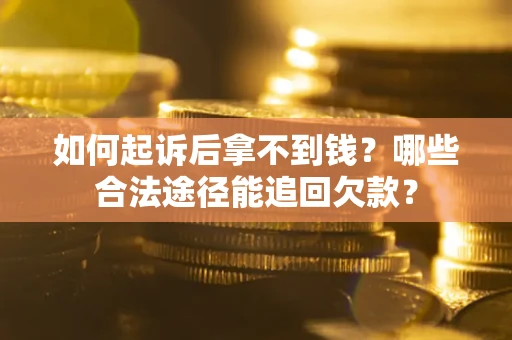 武汉如何起诉后拿不到钱？哪些合法途径能追回欠款？