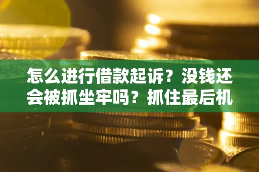 武汉怎么进行借款起诉？没钱还会被抓坐牢吗？抓住最后机会！