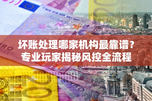 武汉坏账处理哪家机构最靠谱？专业玩家揭秘风控全流程