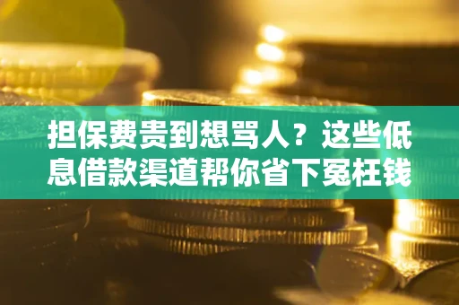 武汉担保费贵到想骂人？这些低息借款渠道帮你省下冤枉钱