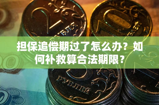武汉担保追偿期过了怎么办？如何补救算合法期限？