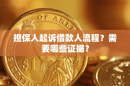 武汉担保人起诉借款人流程？需要哪些证据？