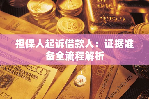 武汉担保人起诉借款人：证据准备全流程解析