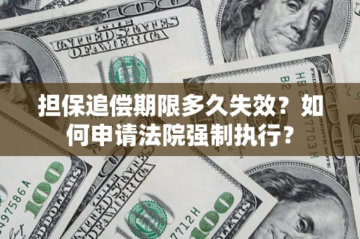 武汉担保追偿期限多久失效？如何申请法院强制执行？