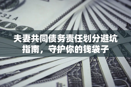 武汉夫妻共同债务责任划分避坑指南，守护你的钱袋子