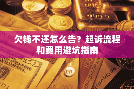 武汉欠钱不还怎么告？起诉流程和费用避坑指南