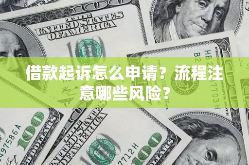 武汉借款起诉怎么申请？流程注意哪些风险？