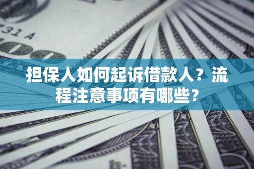武汉担保人如何起诉借款人？流程注意事项有哪些？